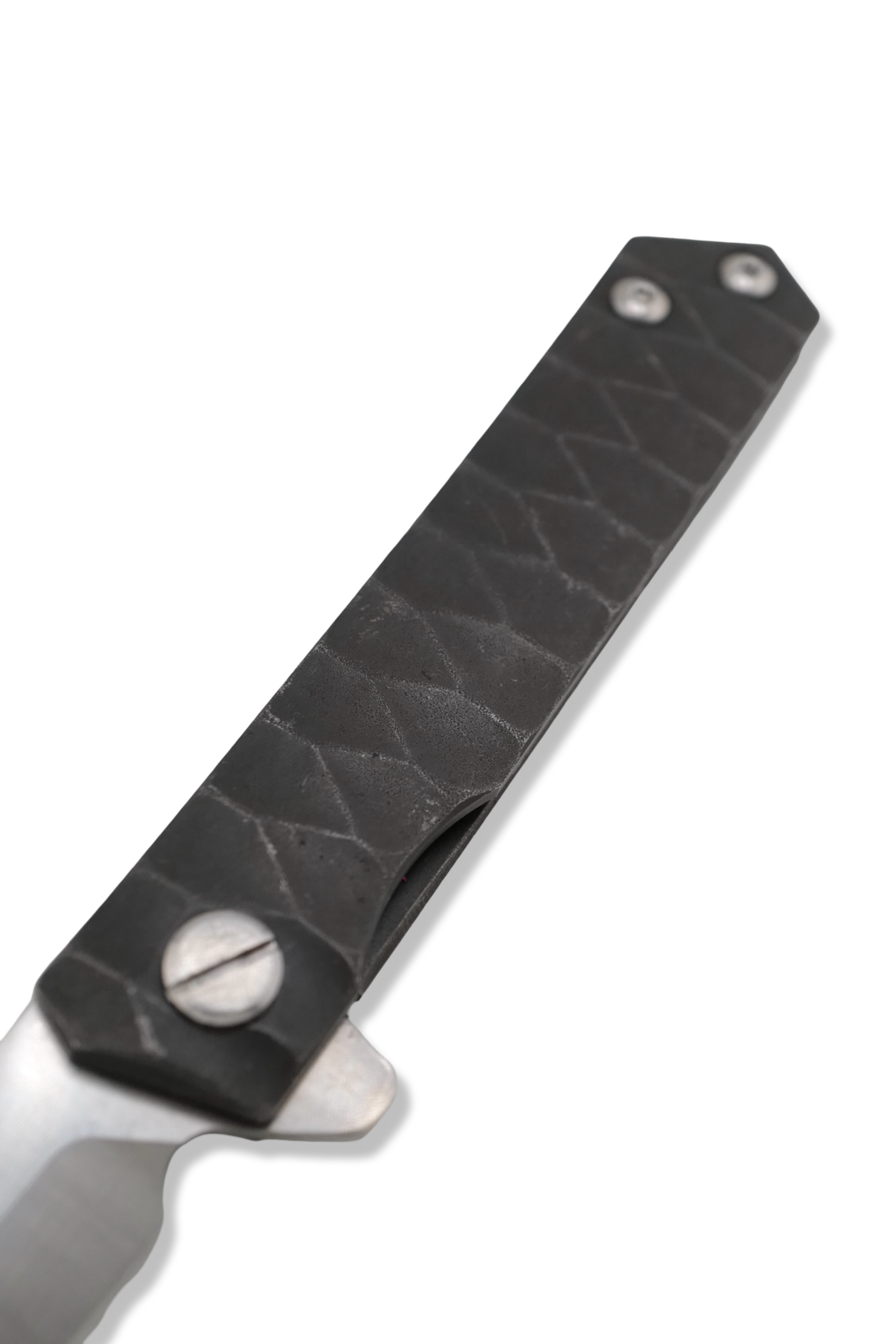 The Wayne Folder - Scale Textured Handle / Satin Finish