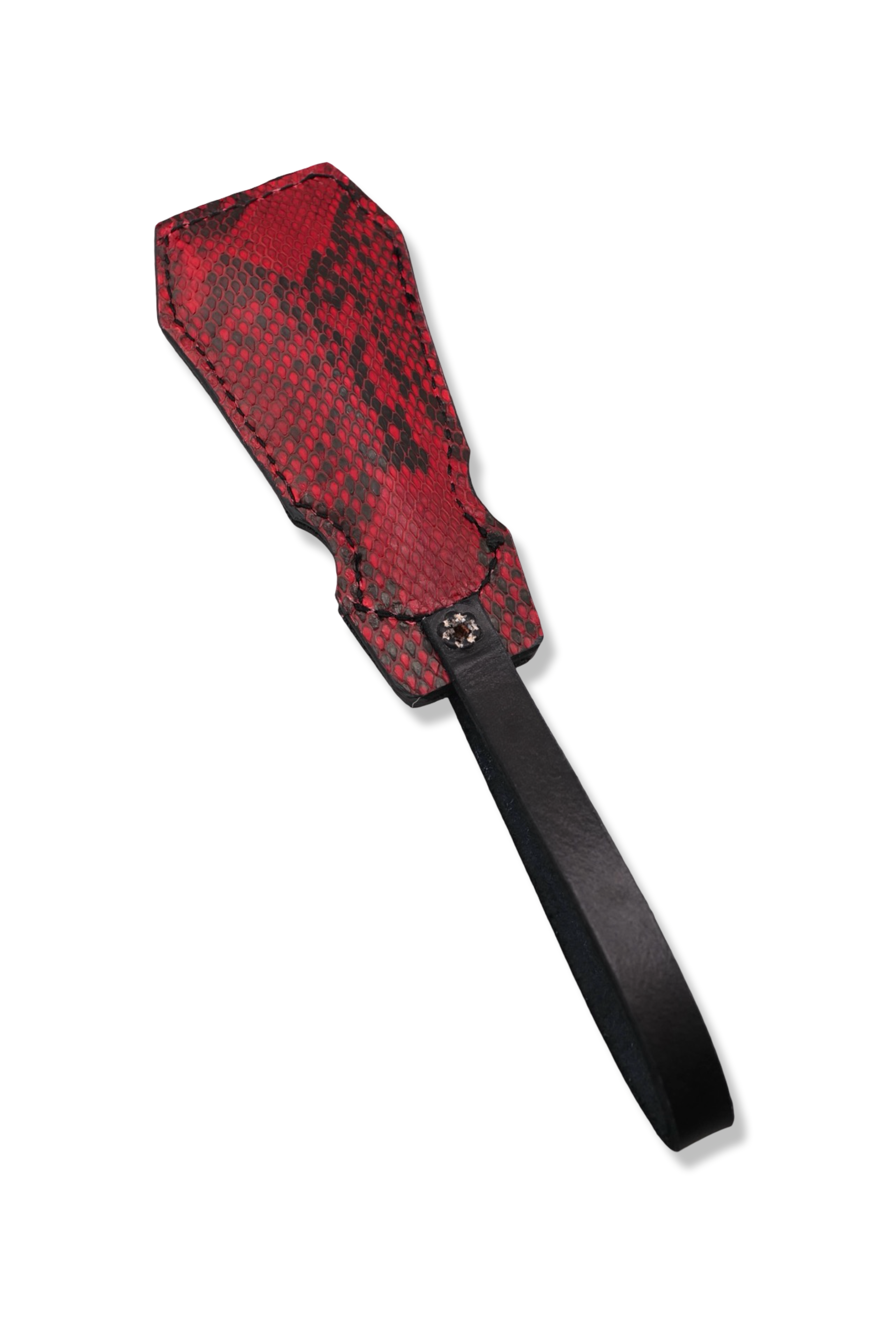 Mini Street Hammer Custom - Leather Front / Red Python Back